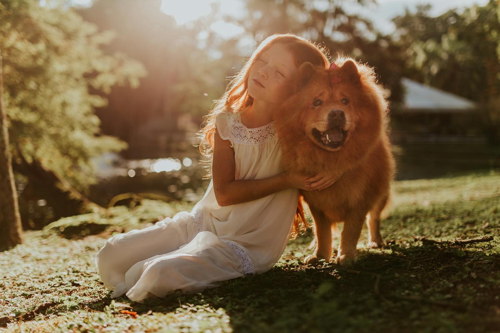 What do pets need